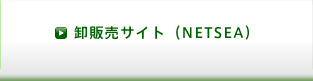 ̔TCgiNETSEAj